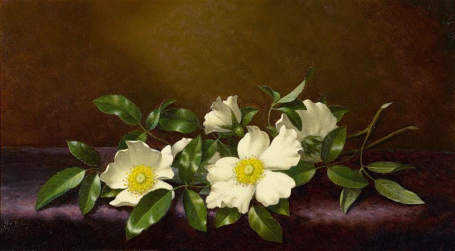 Rose Painting - Cherokee Roses on a Purple Cloth #3 by Martin Johnson Heade