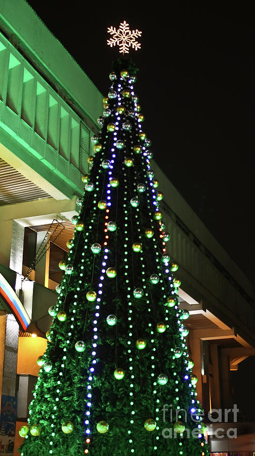 Christmas tree, Moscow #4 Photograph by Irina Afonskaya