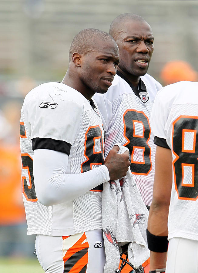 Cincinnati Bengals Training Camp #4 Photograph by Andy Lyons