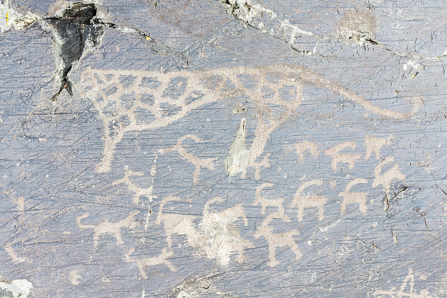 Close up of petroglyphs on rock formations, Altai Tavn Bogd National Park, Bayan Ulgii, Mongolia #4 Photograph by Jeremy Woodhouse