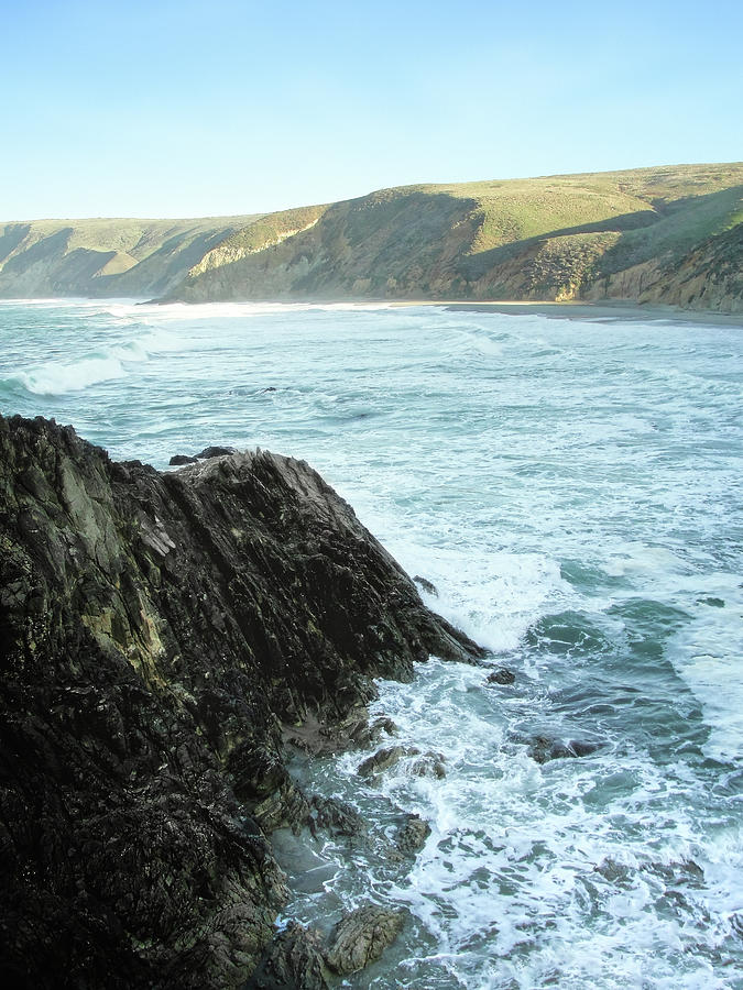 Cold colorful december morning at Point Reyes, California Pacific coast #4 Photograph by Will Sylwester