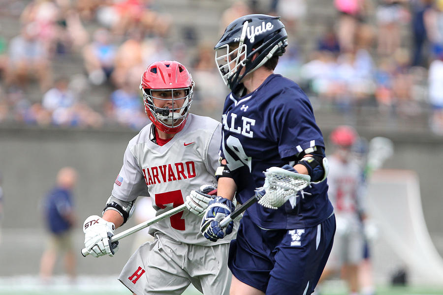 COLLEGE LACROSSE: APR 29 Yale at Harvard #4 Photograph by Icon Sportswire