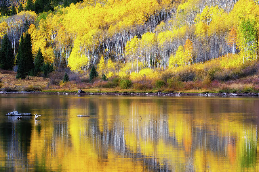 Fall colors, Colorado #6 Photograph by Doug Wittrock
