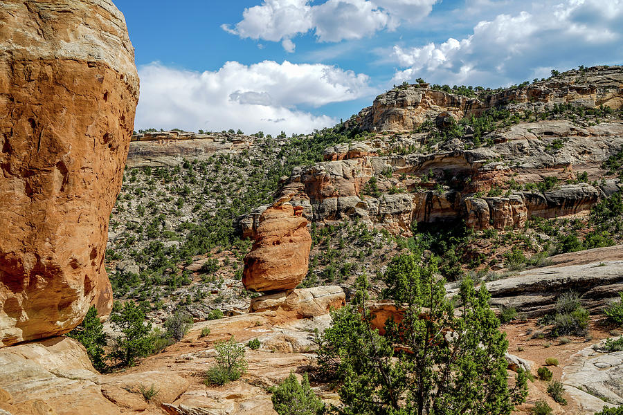 Nature Photograph - Colorados National Monument  #4 by Ric Schafer
