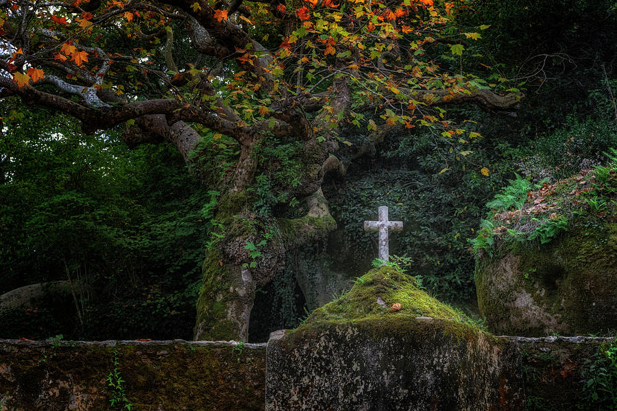Convent of the Capuchos - Portugal #4 Photograph by Joana Kruse