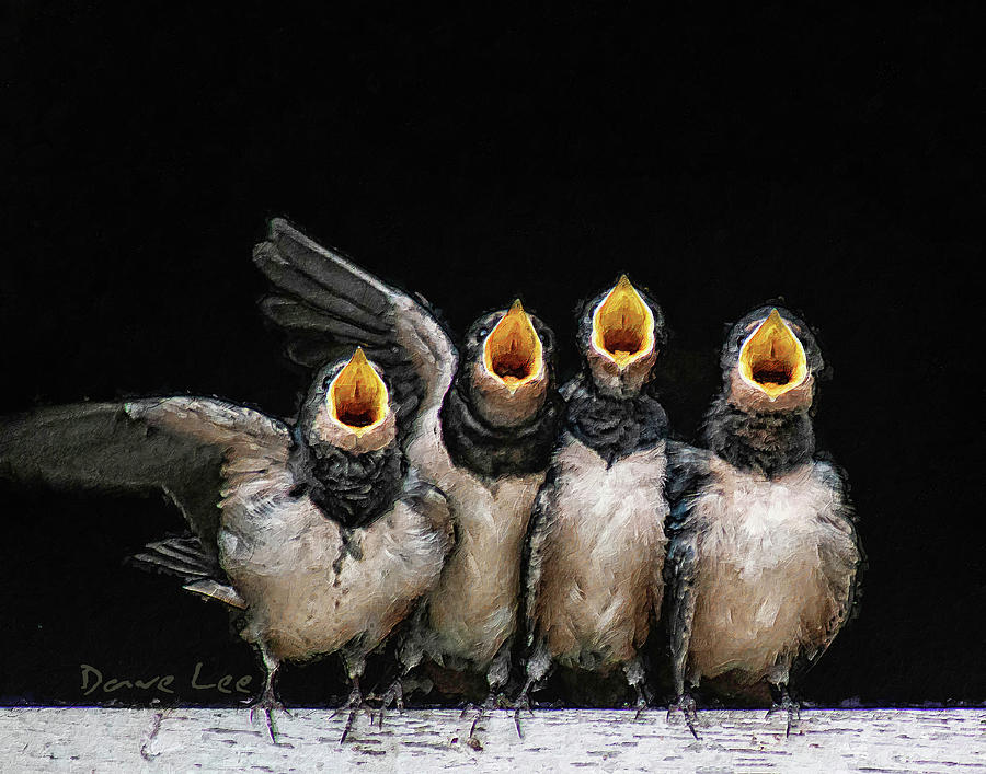 Four Crooners by Dave Lee Four Crooners by Dave Lee