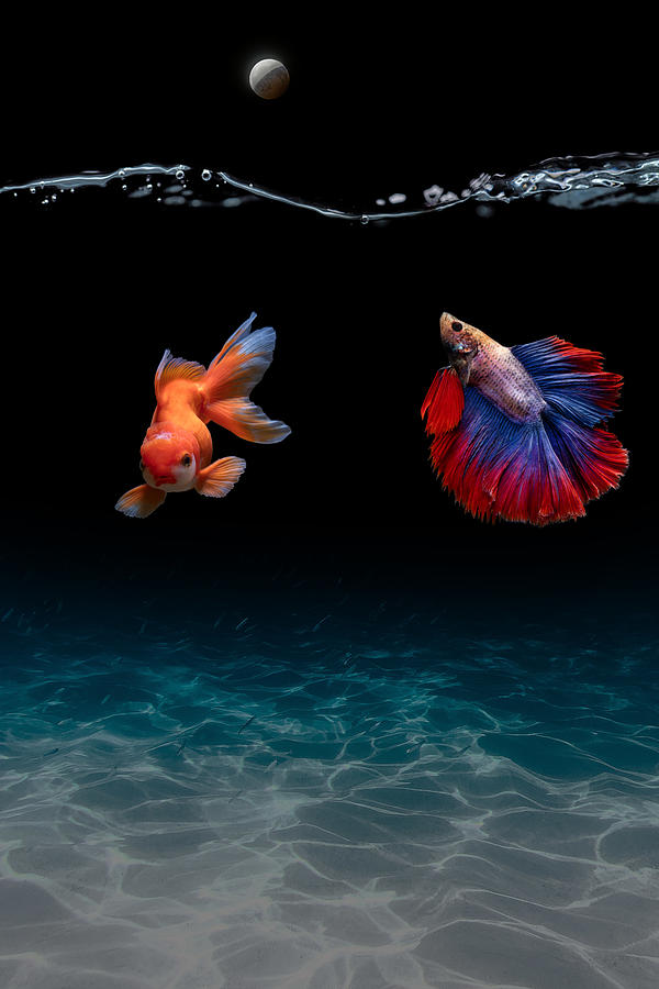 Dark Water And Sea Life By Asar Studios Digital Art