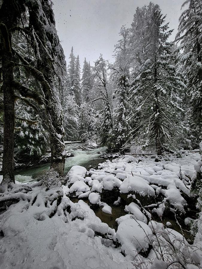 Deception Falls, Washington Photograph by Erin Evans