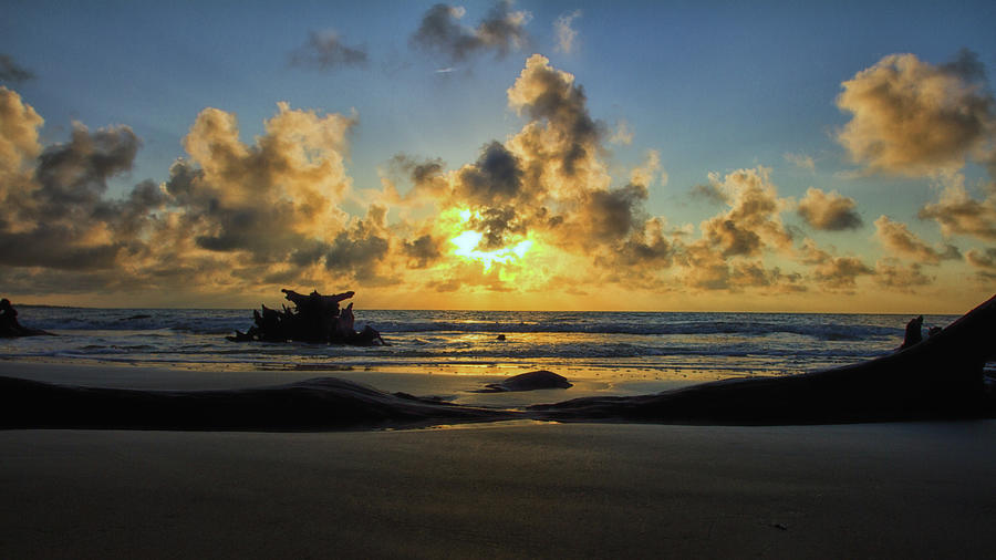 Driftwood Beach Jekyll Island Photograph by Gestalt Imagery - Pixels