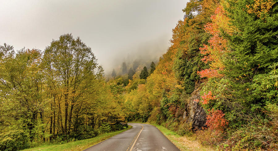Early Morning Autumn Foggy Photo At Blue Ridge Parkway North Car #4 Photograph by Alex Grichenko