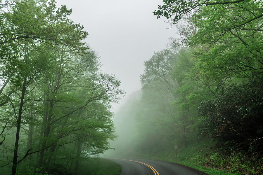 Early Morning Drive Through Blue Ridge Parkway In Spring #4 Photograph by Alex Grichenko