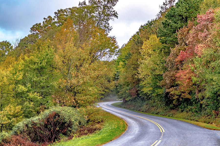 Early Morning Foggy Autumn Roads On Blue Ridge Parkway Near Ashe #4 Photograph by Alex Grichenko
