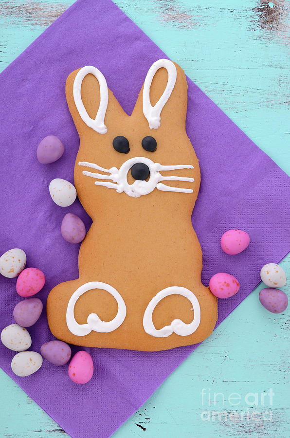 Easter bunny gingerbread cookies #4 Photograph by Milleflore Images