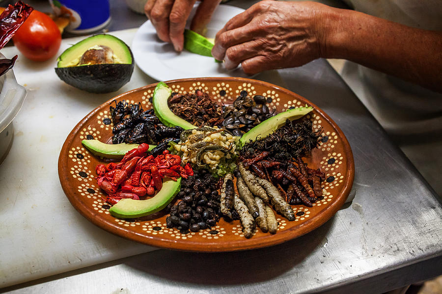 Edible insects prepared by a Mexican chef #4 Photograph by ©fitopardo