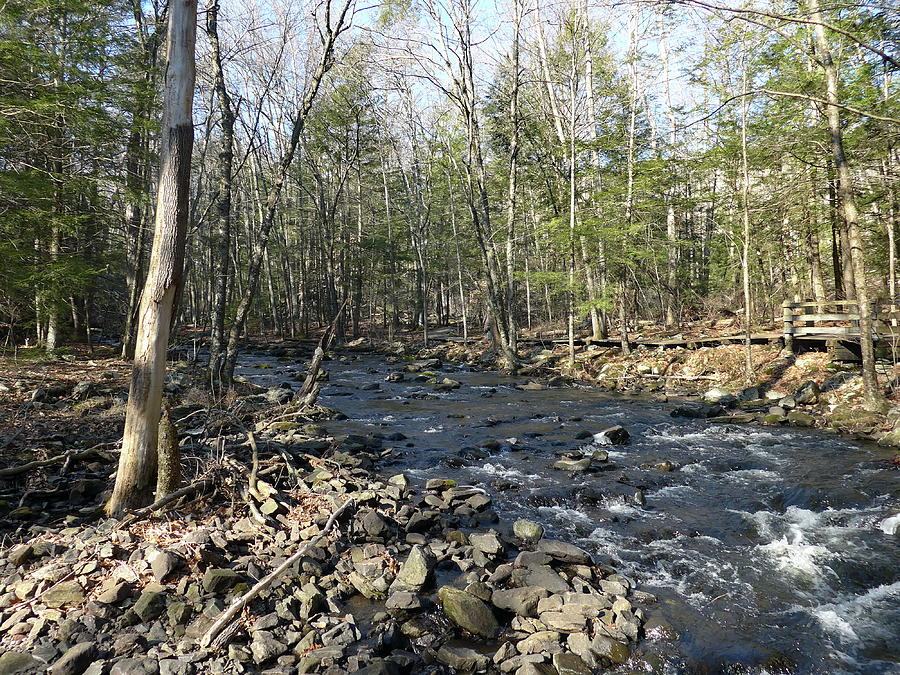 Eight Mile Brook, Southford Falls State Park, Southford CT. Photograph ...