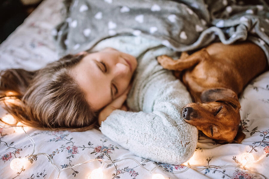 Enjoying Christmas Morning With Her Beautiful Dachshund in Bed #4 Photograph by Pekic