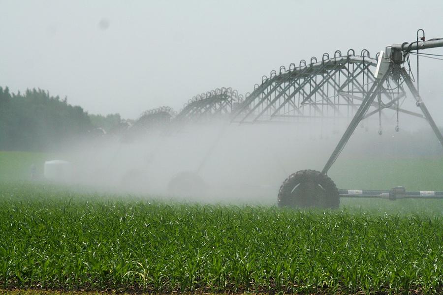 Field Sprinkler Photograph by Roger Look - Fine Art America