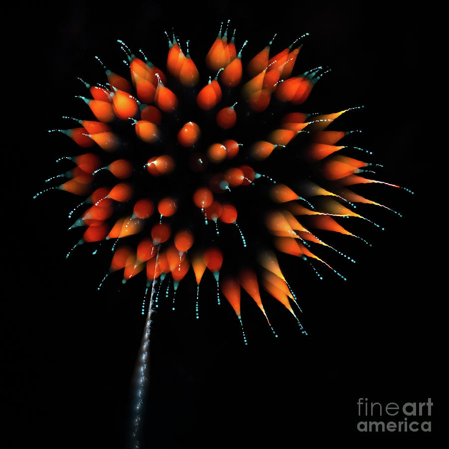 Fireworks #4 Photograph by Doug Sturgess