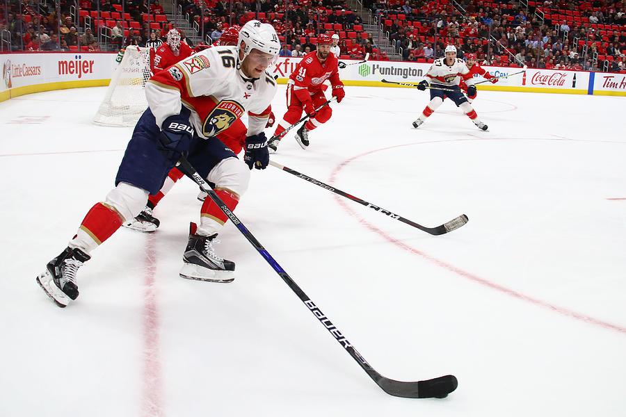 Florida Panthers v Detroit Red Wings #4 Photograph by Gregory Shamus