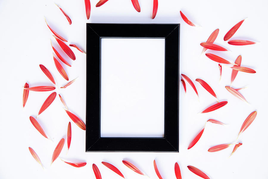 Flower composition with black photo frame on a white background. #4 Photograph by Michalakis Ppalis