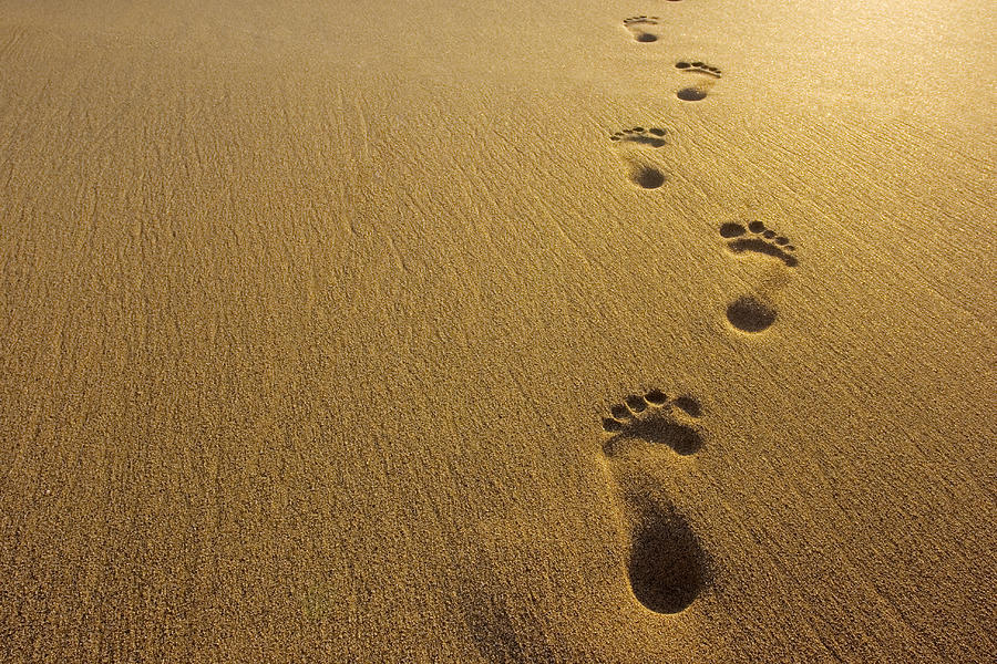 Footprints #4 Photograph by Dny59