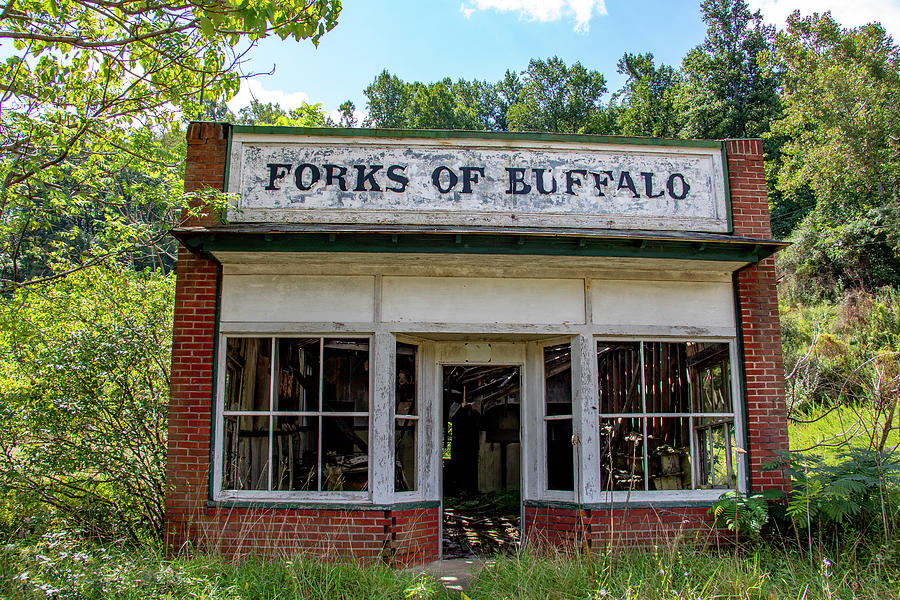 Virginia Photograph - Forks of Buffalo #4 by Jean Haynes