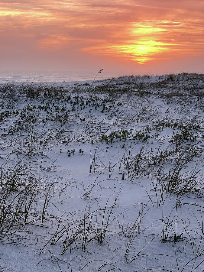 Fort Pickens Beach Sunset, Gulf Island National Seashore, Florida #4 Photograph by Dawna Moore Photography