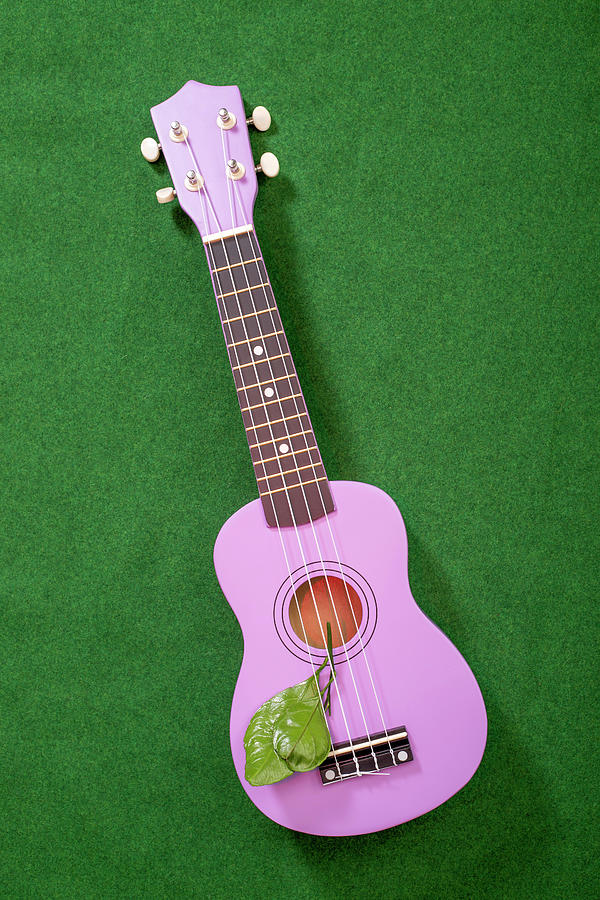 Four string ukulele guitar Pyrography by Valentin Ivantsov Fine Art