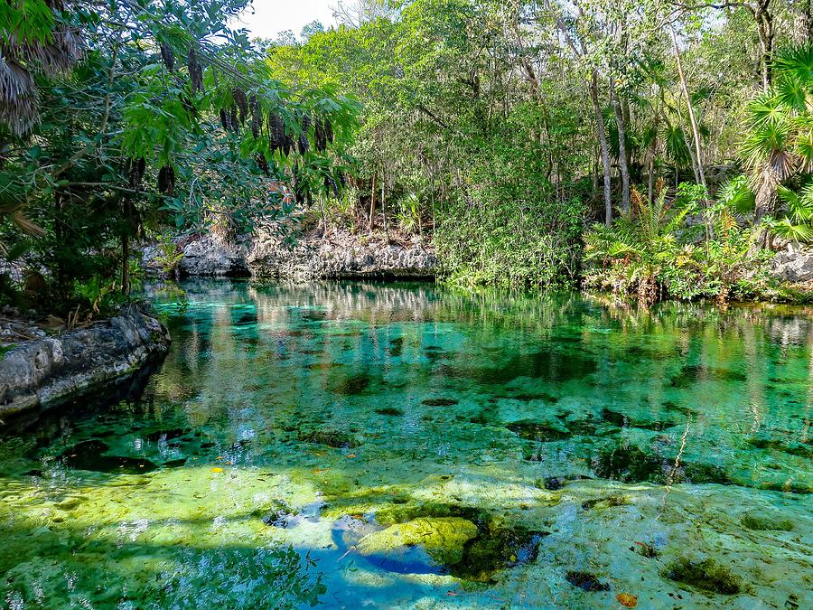 Garden of Eden Photograph by Spacewalk - Fine Art America