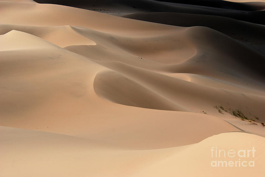 Gobi desert #4 Photograph by Elbegzaya Lkhagvasuren