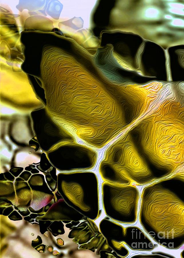 Golden Turtle 9 Digital Art by Aldane Wynter