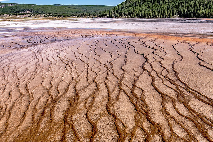 Grand Prismatic Spring in Yellowstone National Park #4 Photograph by Alex Grichenko
