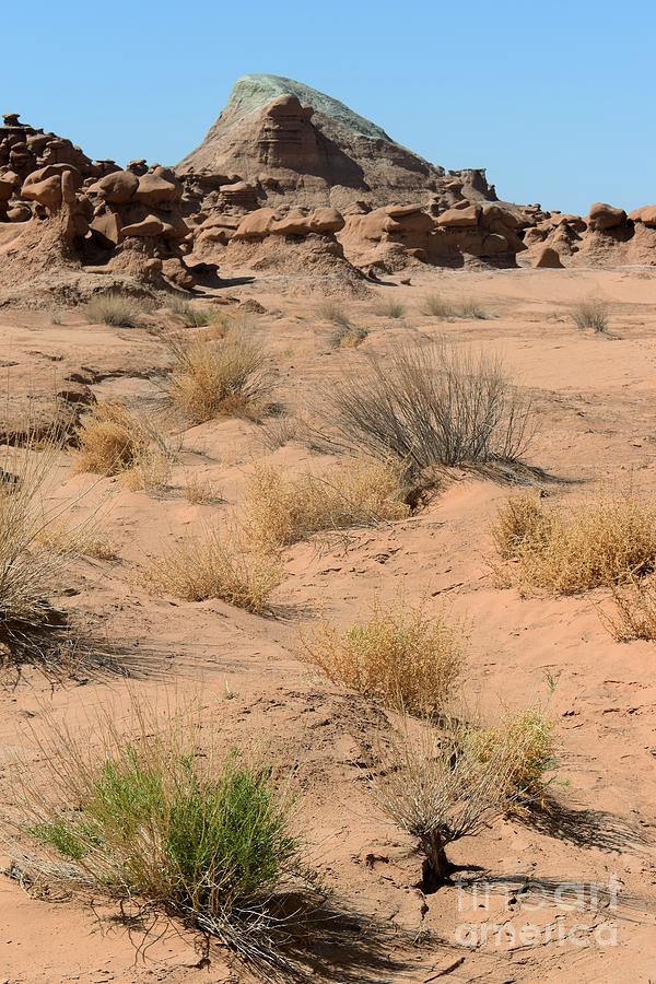 Hoodoo formations in the desert Photograph by Tonya Hance | Pixels