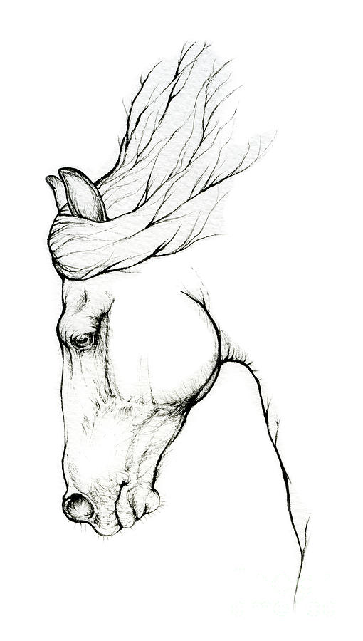 Horse head #4 Drawing by Ang El