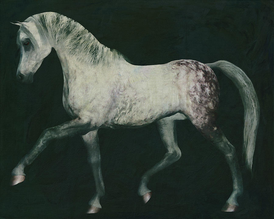 Horses -white Horse Doing Dressage Exercise Painting