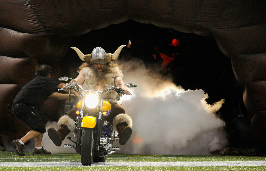 Houston Texans v Minnesota Vikings #4 Photograph by Hannah Foslien