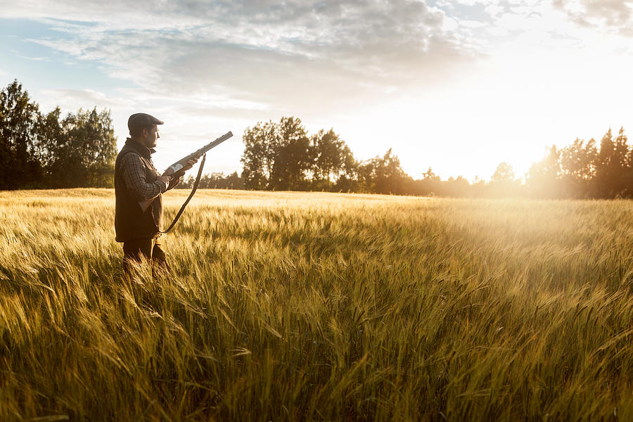 Hunting at golden hour #4 Photograph by Visualspace