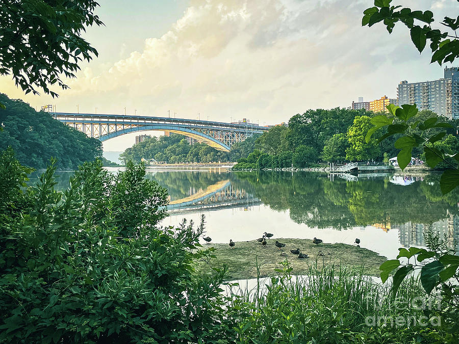 Inwood Hill Park #4 Photograph by Cole Thompson
