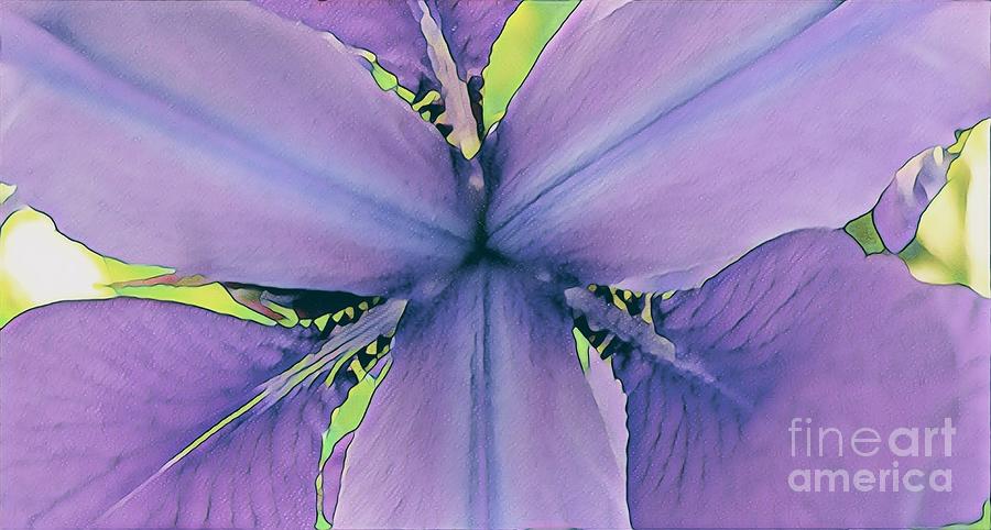 Iris #1 Painting by Marilyn Smith