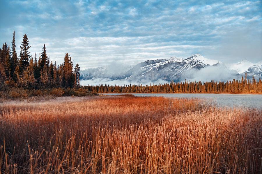Jasper National Park Canada #4 Photograph by Songquan Deng