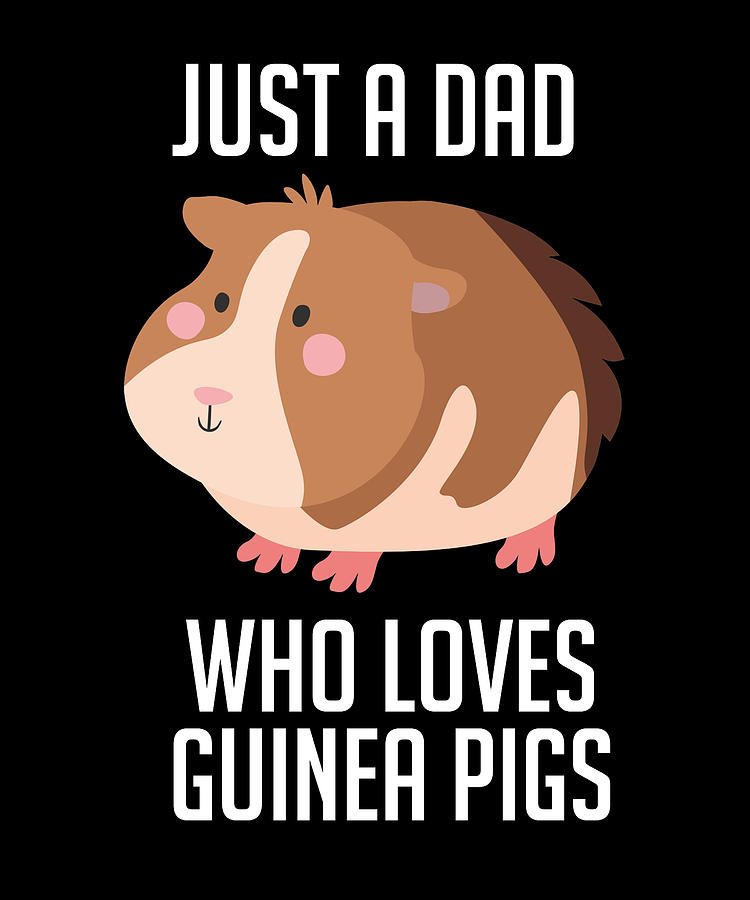 Just A Dad Who Loves Guinea Pigs Digital Art by Cynto - Fine Art America