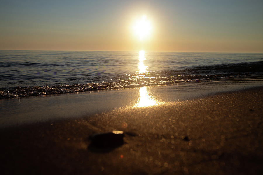 Sun Photograph - Small rock at sunset on Lake Michigan by Eldon McGraw Sun Photograph - Small rock at sunset on Lake Michigan by Eldon McGraw