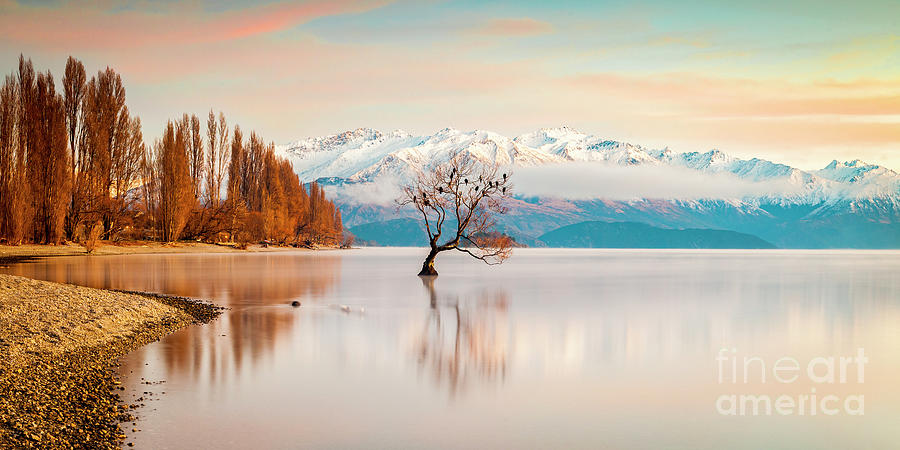 Lake Wanaka, Otago, New Zealand #4 Photograph by Colin and Linda McKie