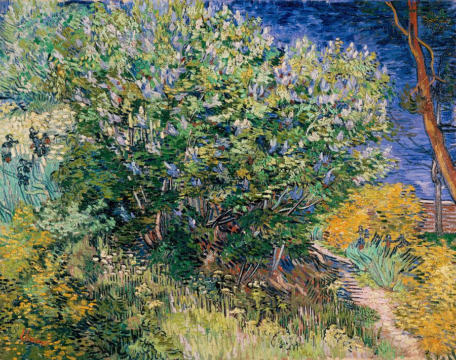 Vincent Van Gogh Painting - Lilac Bush #4 by Vincent van Gogh