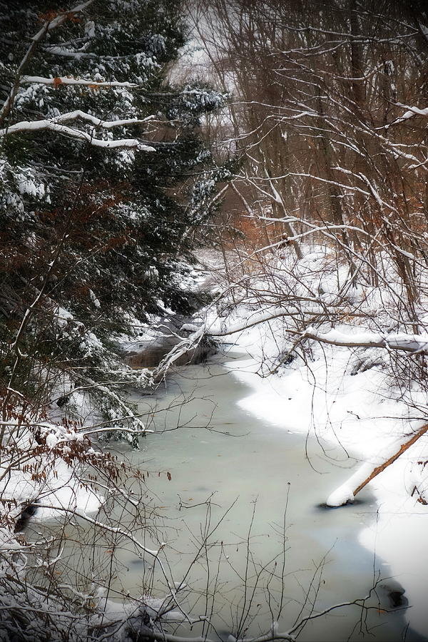 Means Brook, Shelton CT Photograph by Thomas Henthorn - Fine Art America