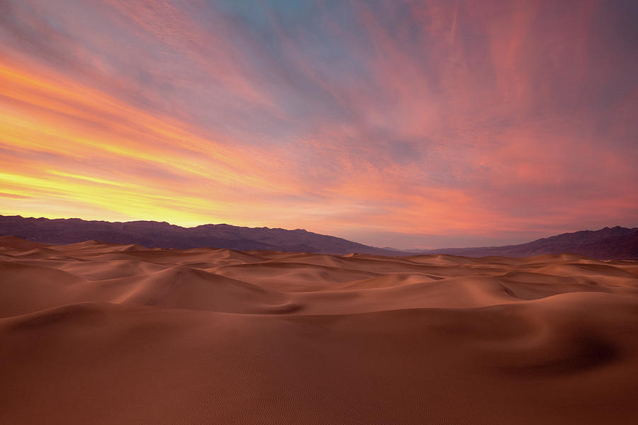Mesquite Dunes Sunrise #4 Photograph by Dean Ginther