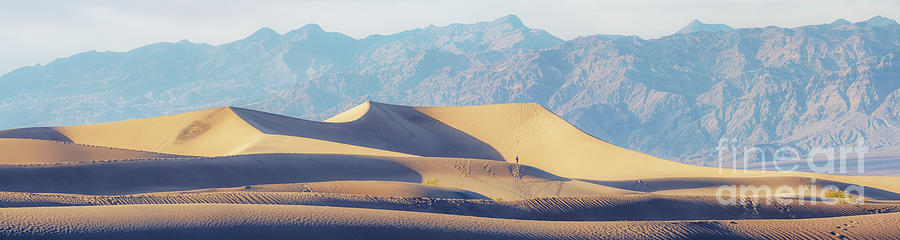 Mesquite Sand Dunes in Death Valley #4 Photograph by Hanna Tor