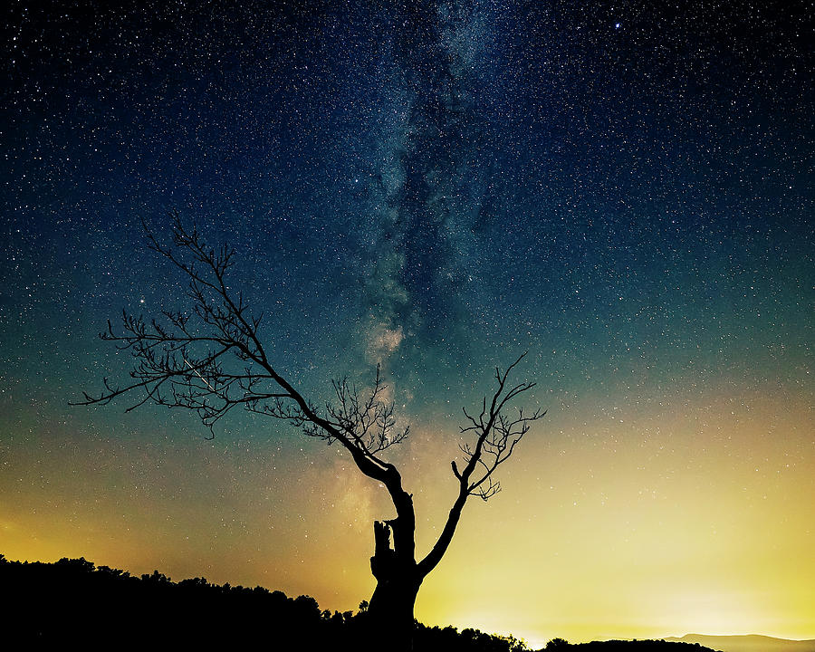 Milky Way #4 Photograph by Travis Rogers