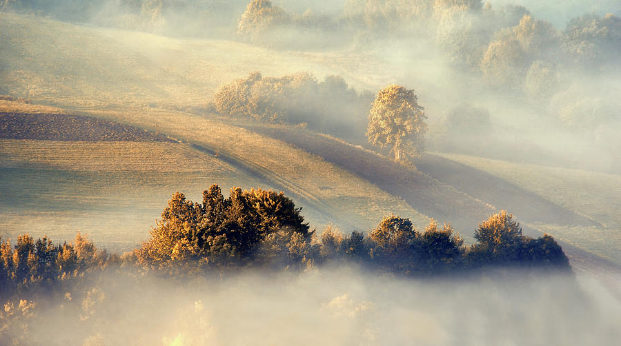 Misty Landscape Photograph