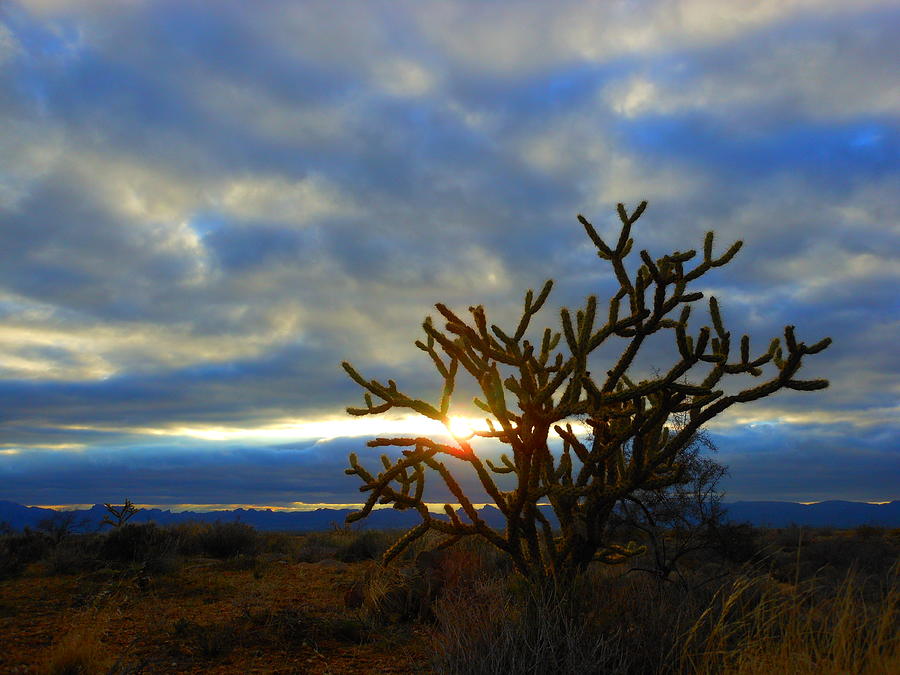 Mohave Desert Sunset Photograph By James Welch Fine Art America 5758